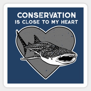 Whale Shark Conservation Heart Sticker